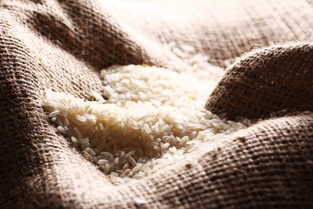 Produtividade do arroz pode alcançar 8.478 kg/ha no RS