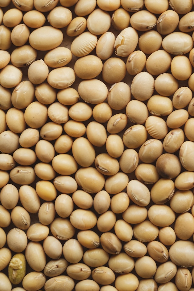 Produtores de soja da Bolívia estão nervosos com escassez de combustível afetando a colheita