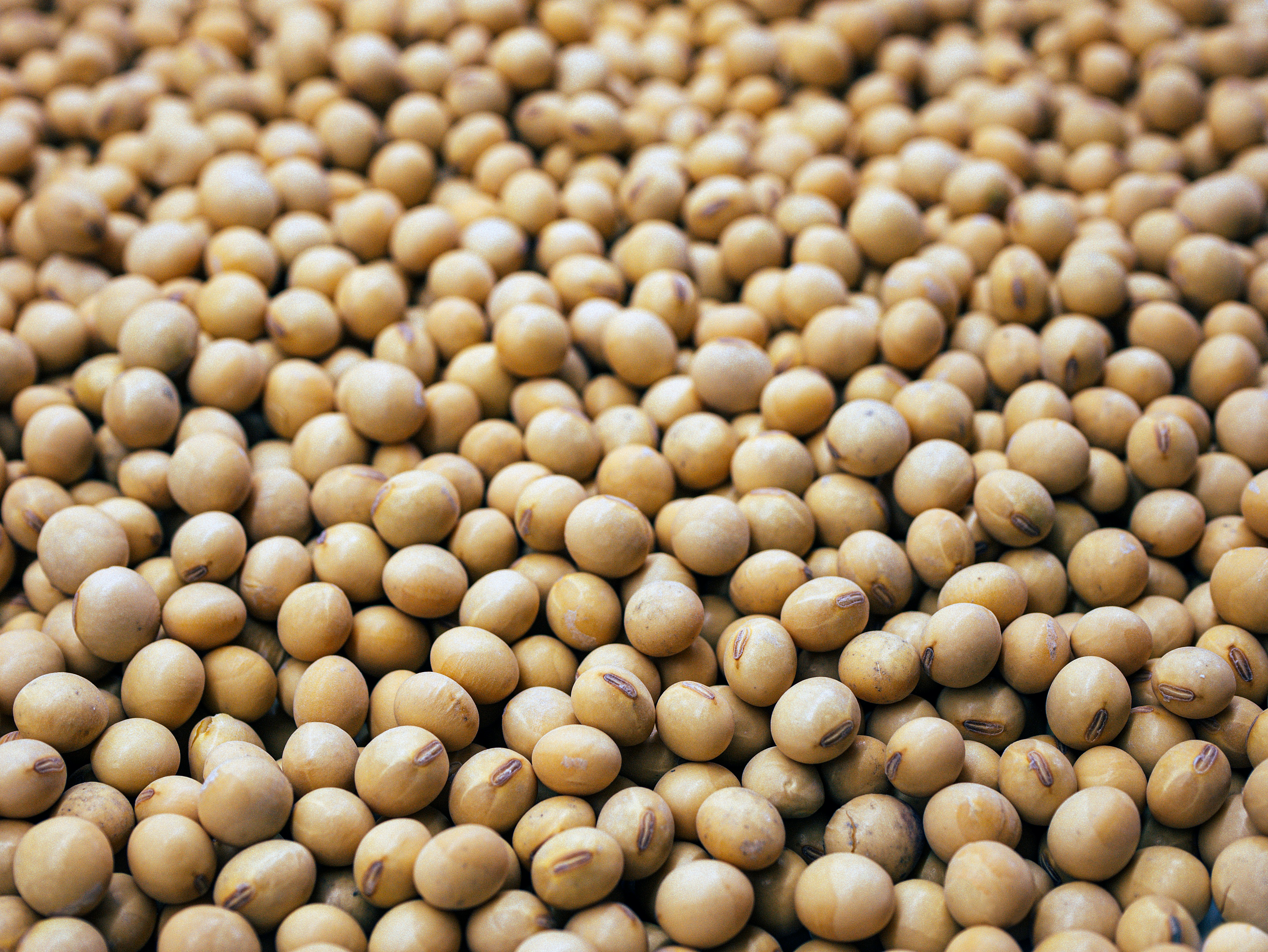 Fiscalização apreende 51 toneladas de soja e agrotóxicos irregulares no RS