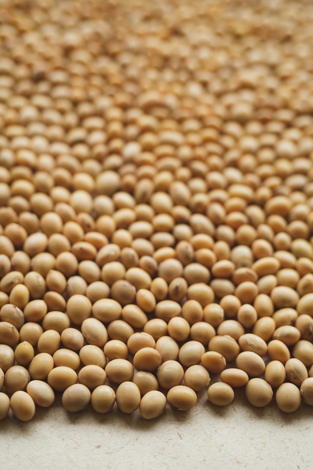 Produtor de SC conquista recorde nacional com 135,49 sc/ha no Desafio da Soja 2025