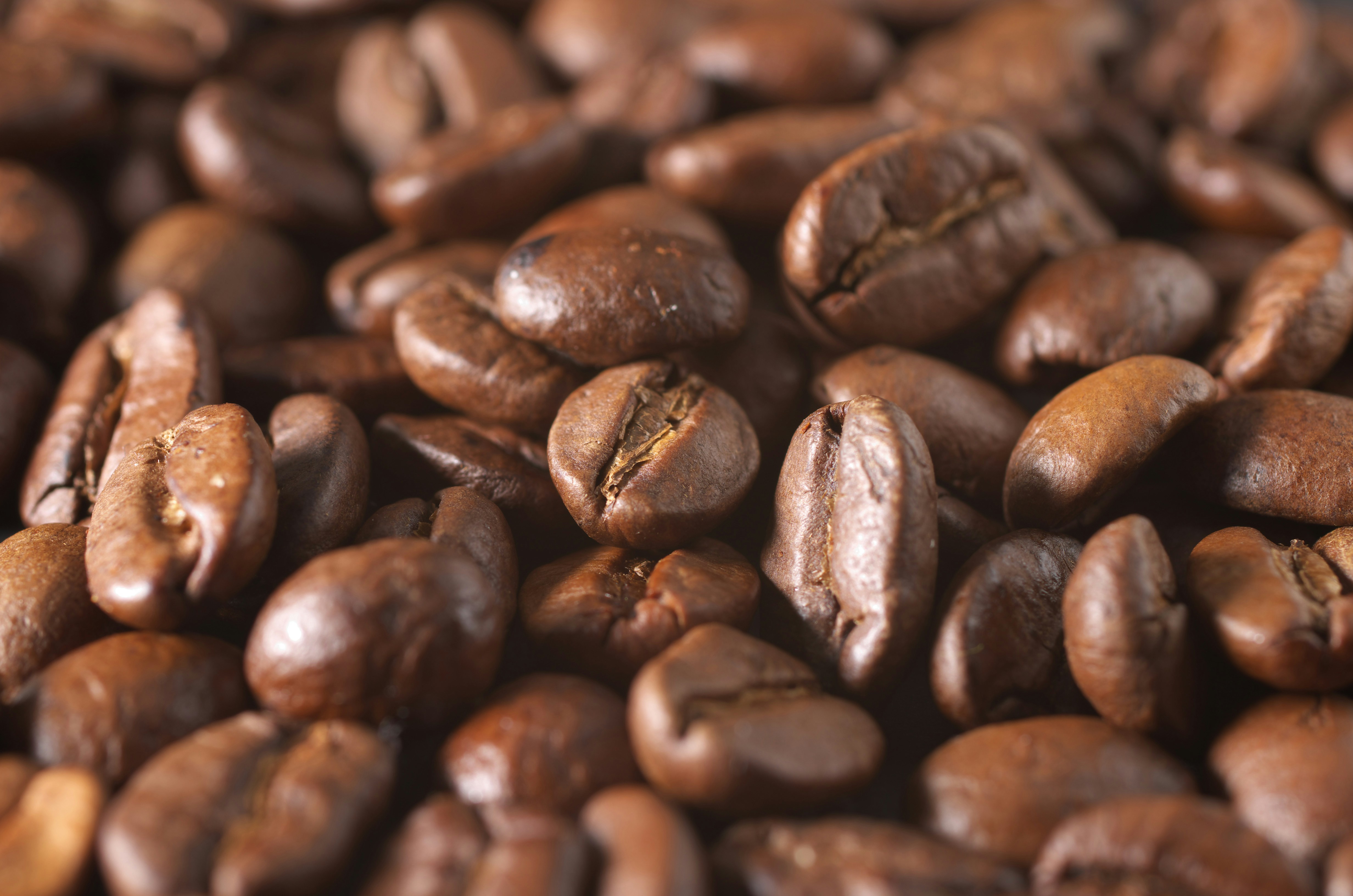Café: Indicadores caem mais de 20% em junho