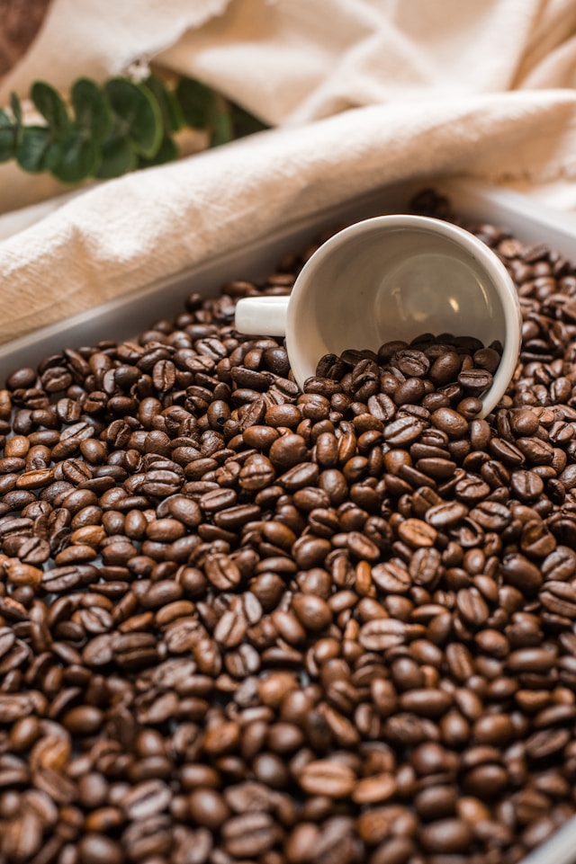 Europa lidera consumo mundial de café