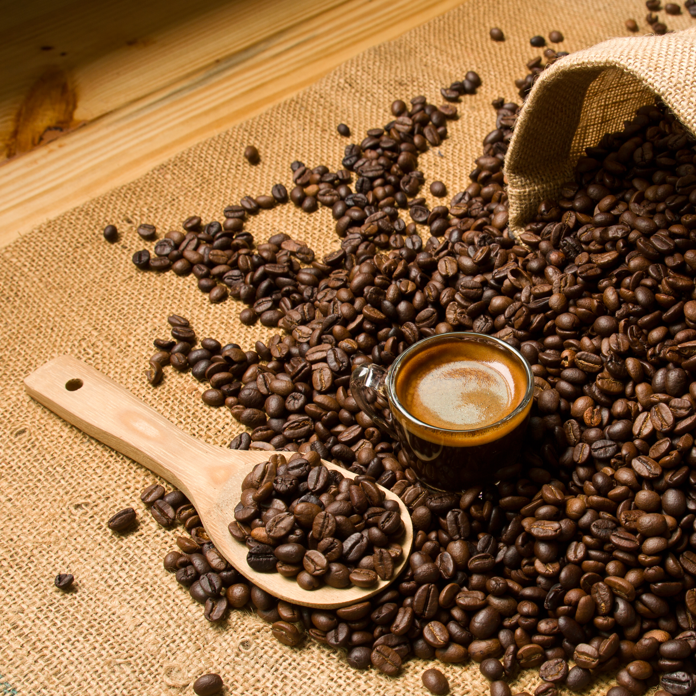 Mercado do café trabalhava em campo misto nas bolsas internacionais na manhã desta 3ª feira (08)