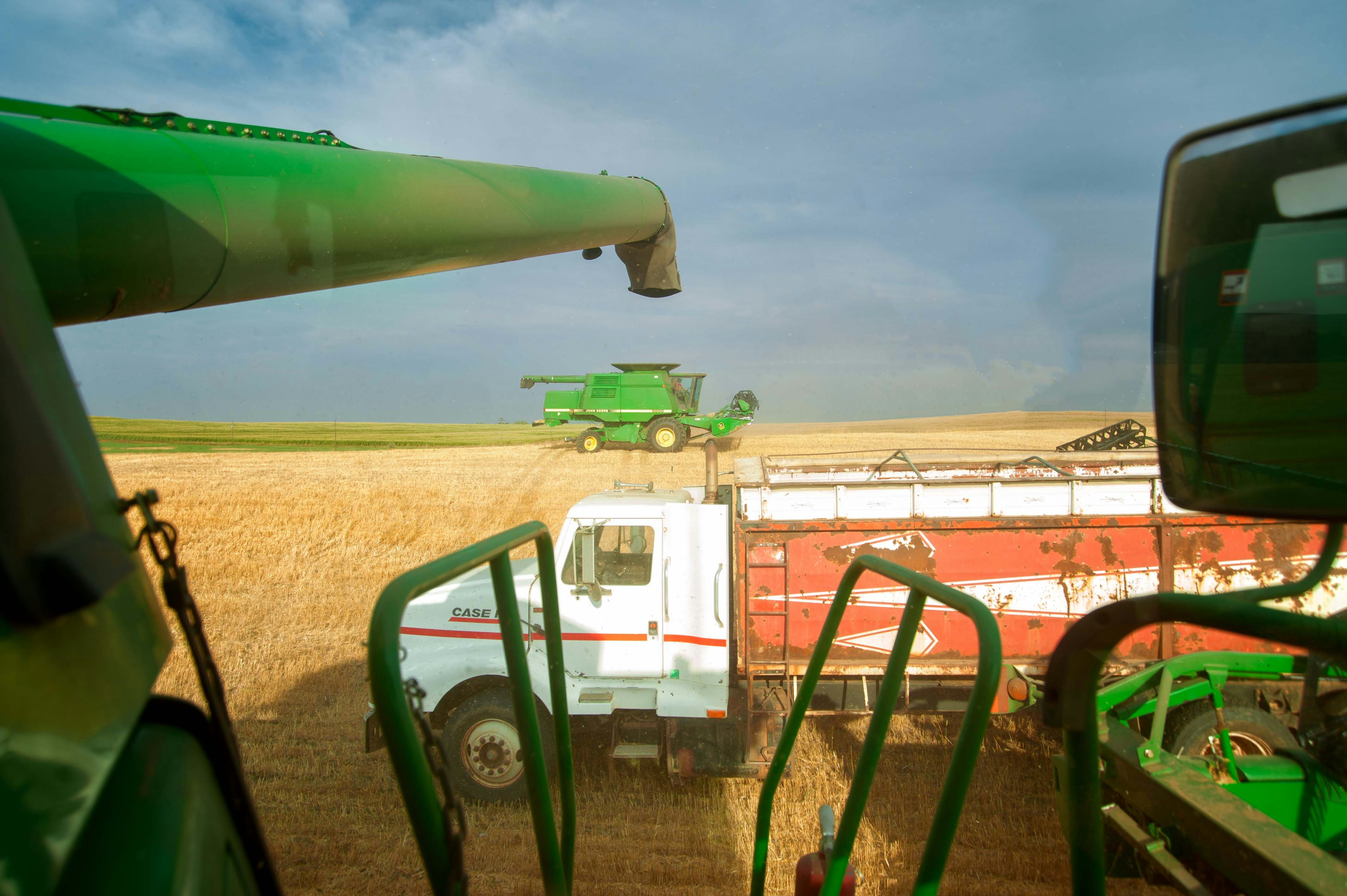 Número de pessoas empregadas no agronegócio representa 26% do total de trabalhadores do País