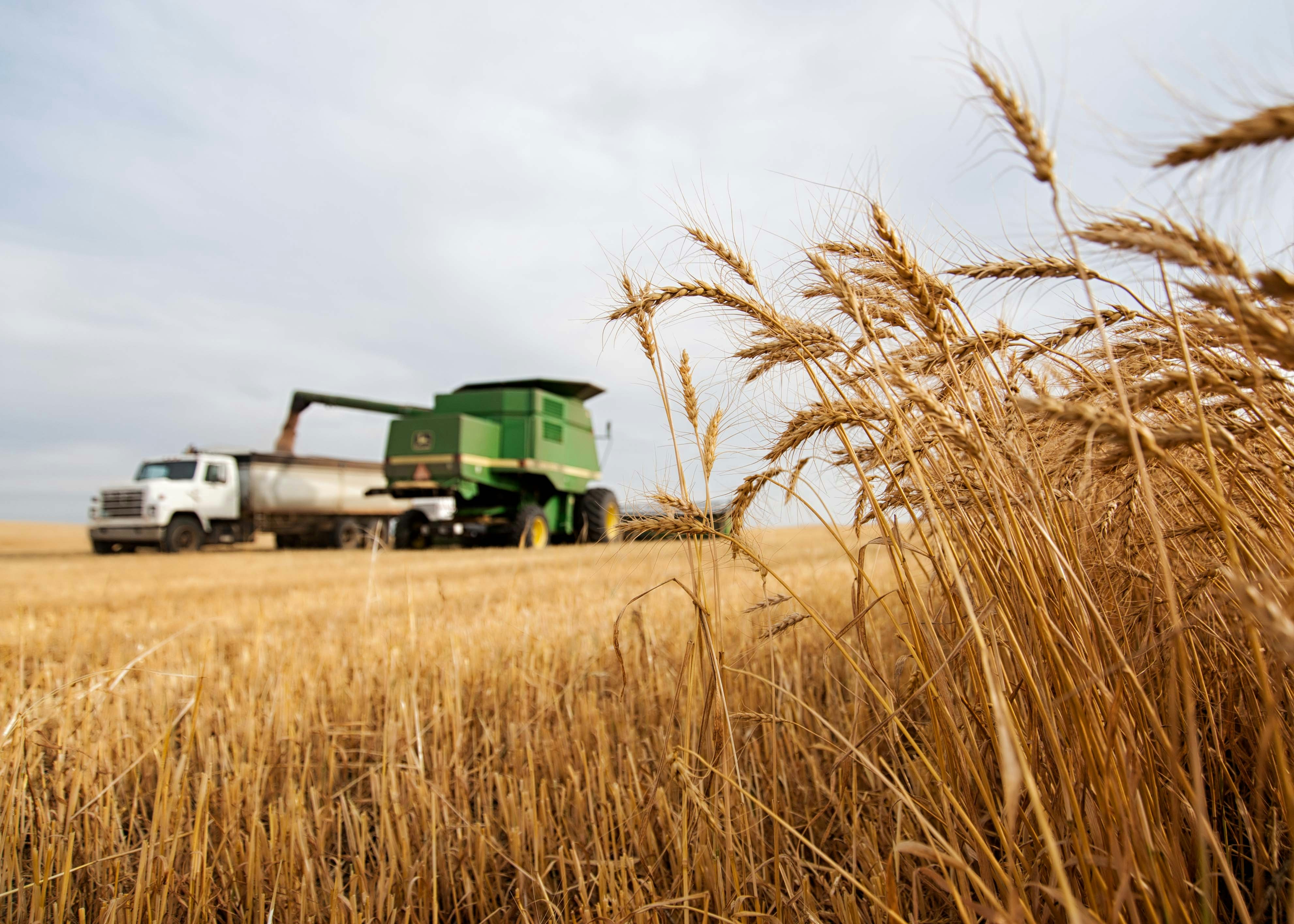 Crédito rural movimenta R$ 28,2 bilhões na safra 26/27