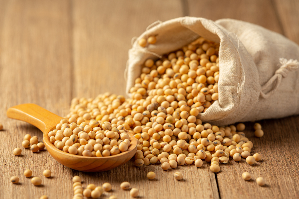 Brasil pode ampliar valor ao exportar mais alimentos