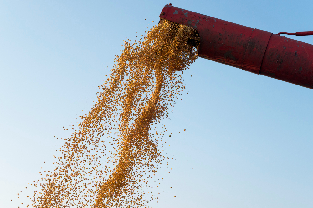 EUA: produção de soja sobe, mas produtividade recua