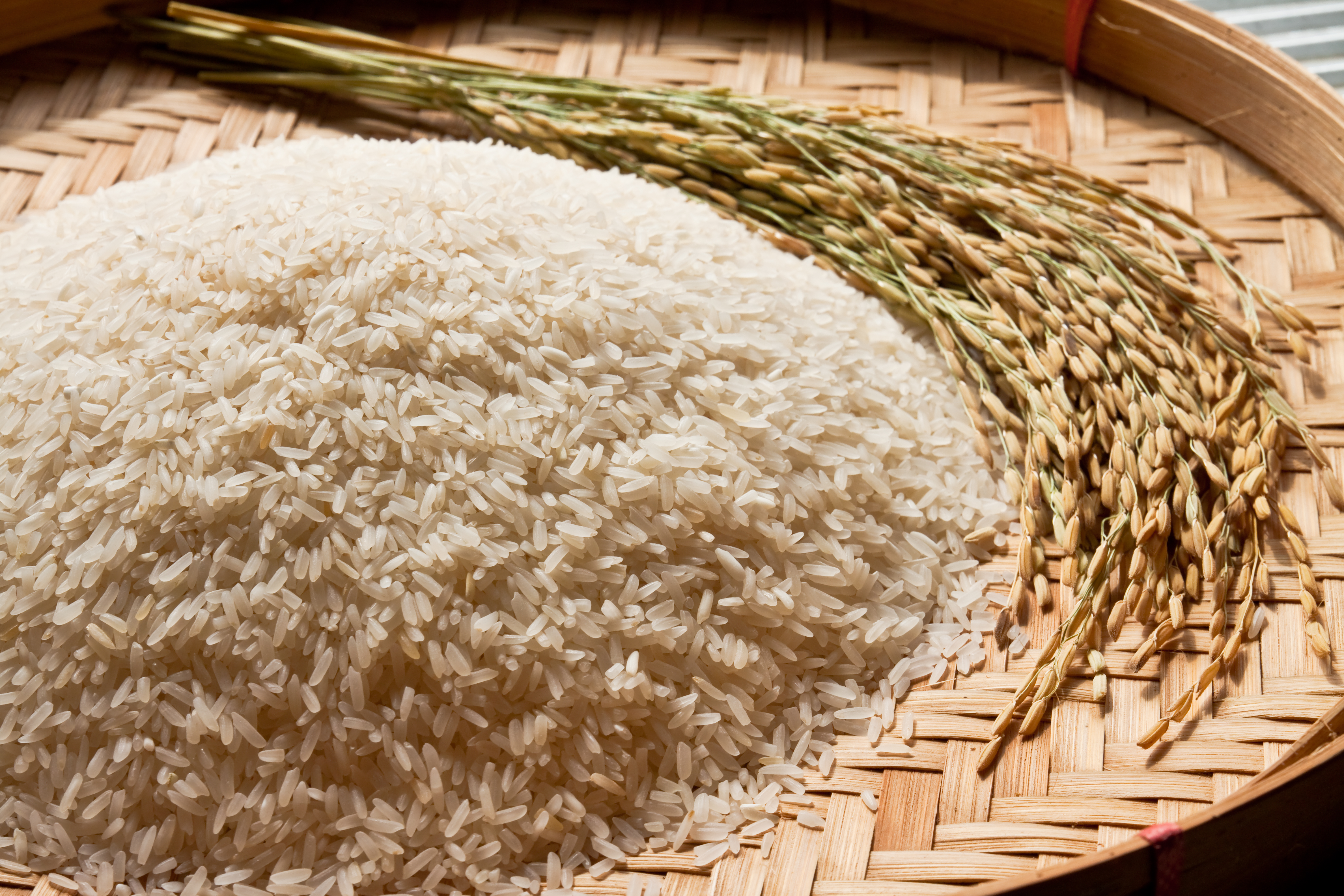 Produção menor de arroz longo acende alerta para 2027